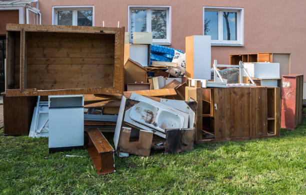 Best Electronics Removal Services  in Flat Rock, MI